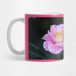 Candy Stripe Camellia Mug